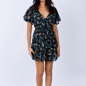 Princess Polly Dress